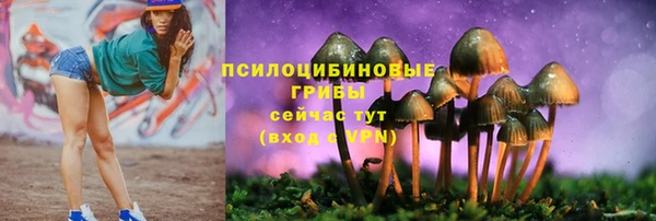 не бодяженный Снежинск