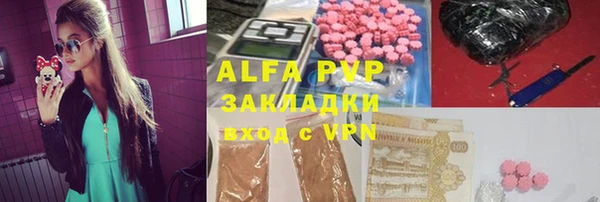 СК Белокуриха
