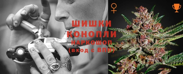 СК Белокуриха