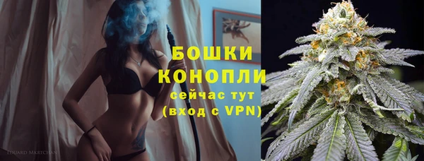 СК Белокуриха