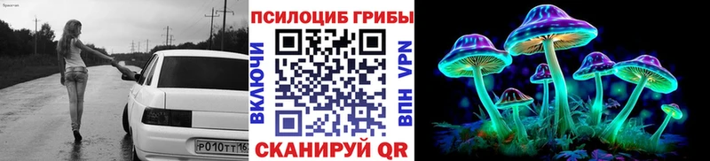 Псилоцибиновые грибы Cubensis Высоцк